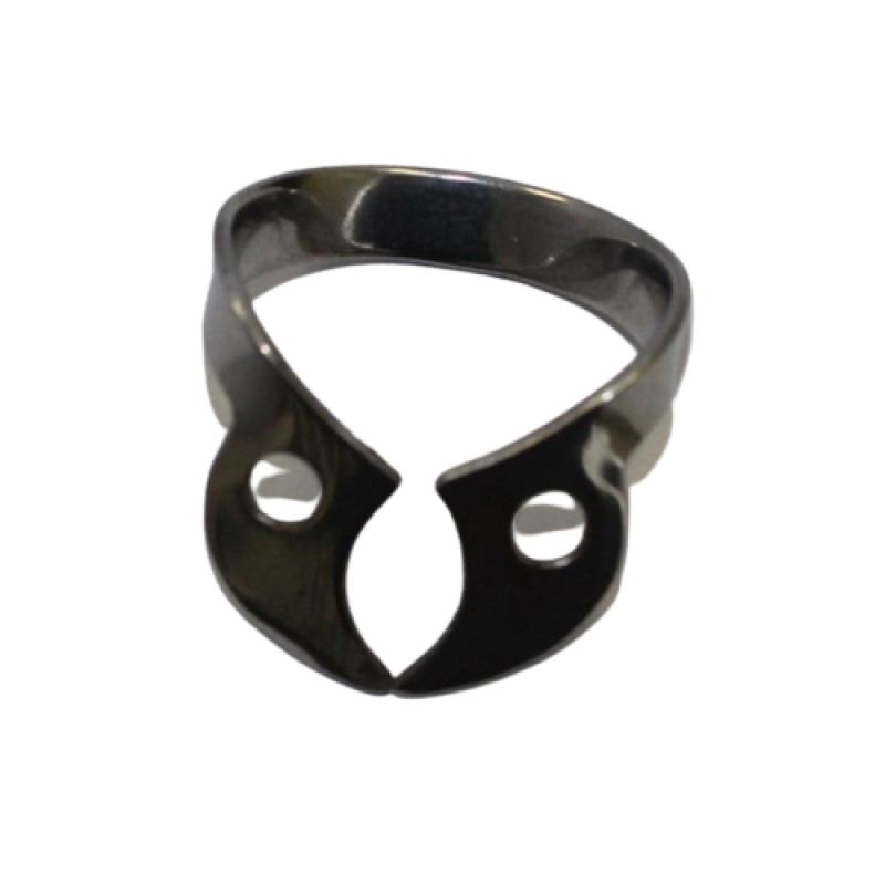 76D-W3 Lower Mollars - TG 2423