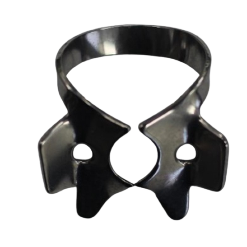 76D-4 Upper Mollars - TG 2425