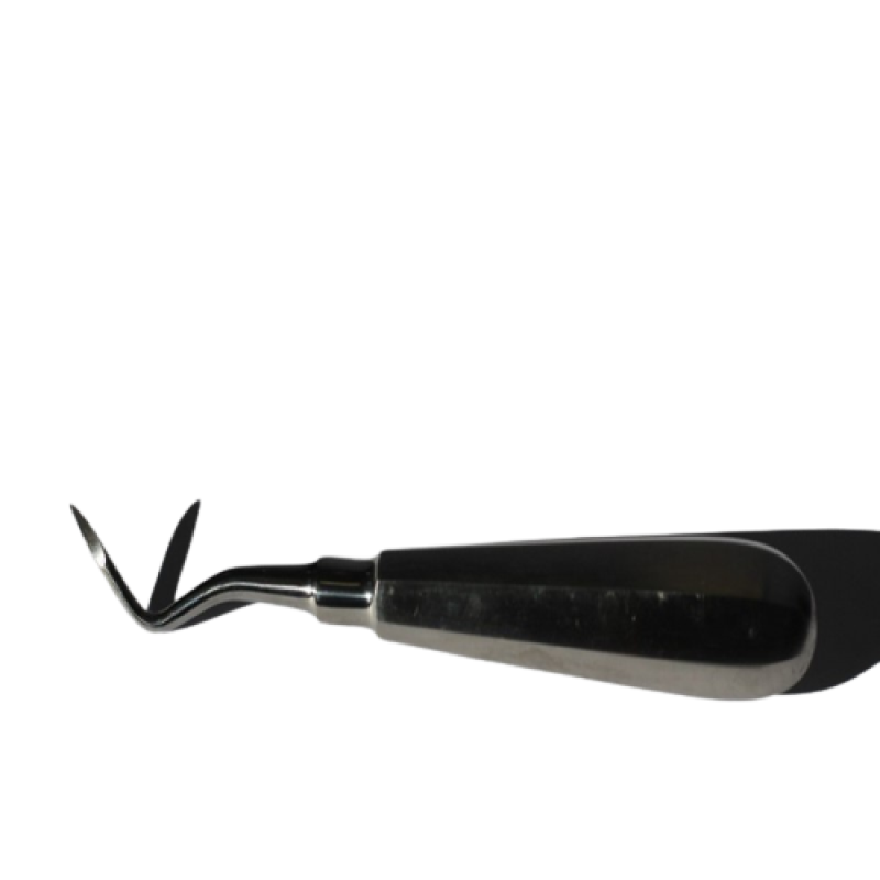 Root Elevator FLOHR - TG 1394