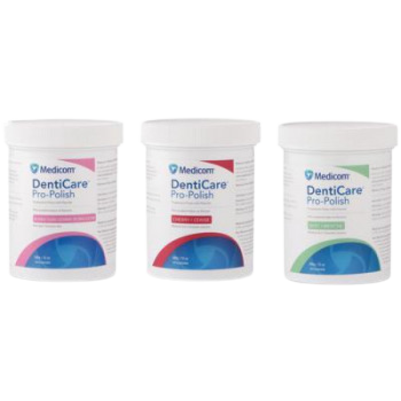 DENTI-CARE PROPHY PASTE 340GM JAR MINT MED